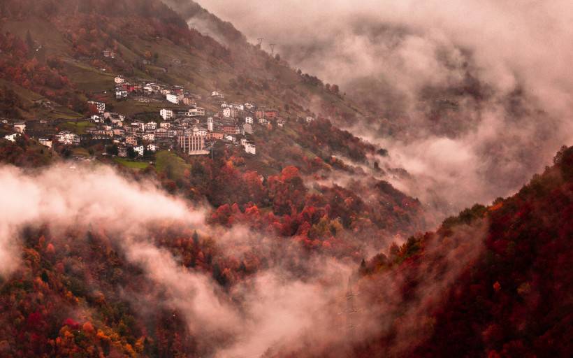 秋天森林风景图片壁纸大全