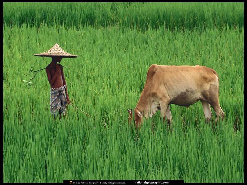 世界各国人文地理杂志景观高清图集