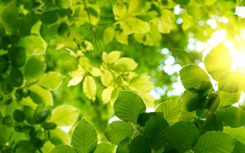 小清新沙滩海景电脑壁纸