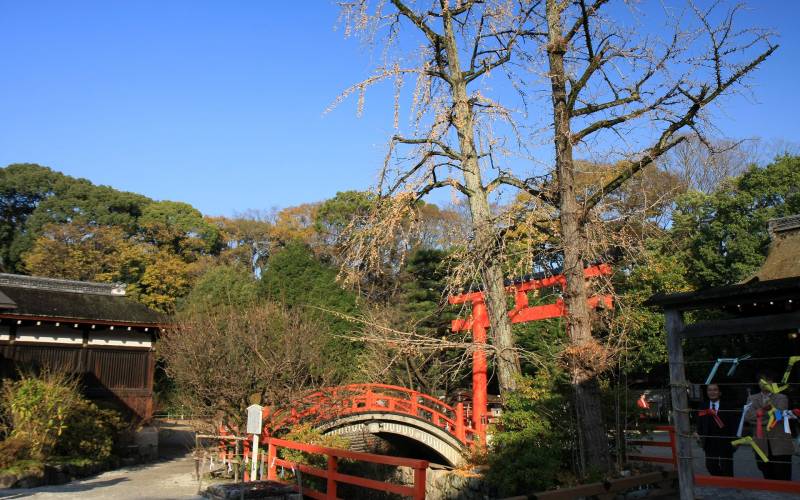 日本的下鸭神社红叶摄影组图