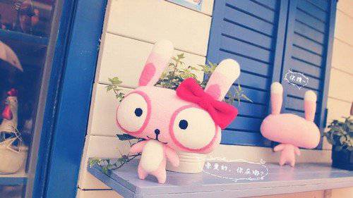 可爱毛绒公仔清新意境美图