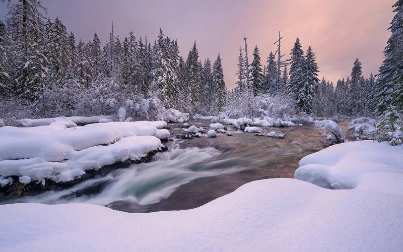 纯白冬日雪景风光高清桌面壁纸