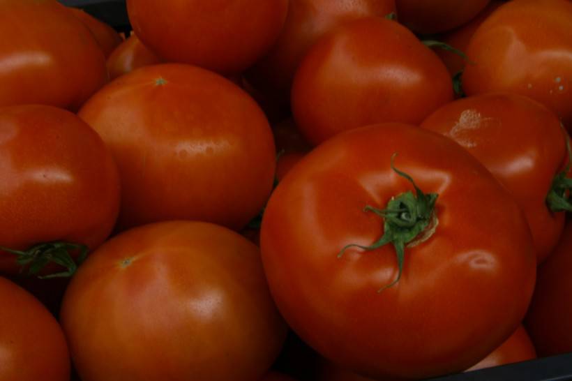 新鲜蔬果番茄图片