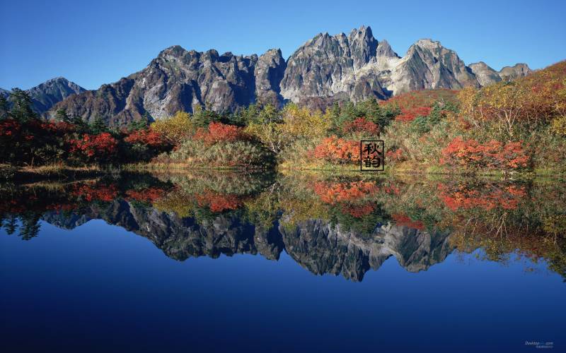 秋日湖边枫树林唯美风景图片
