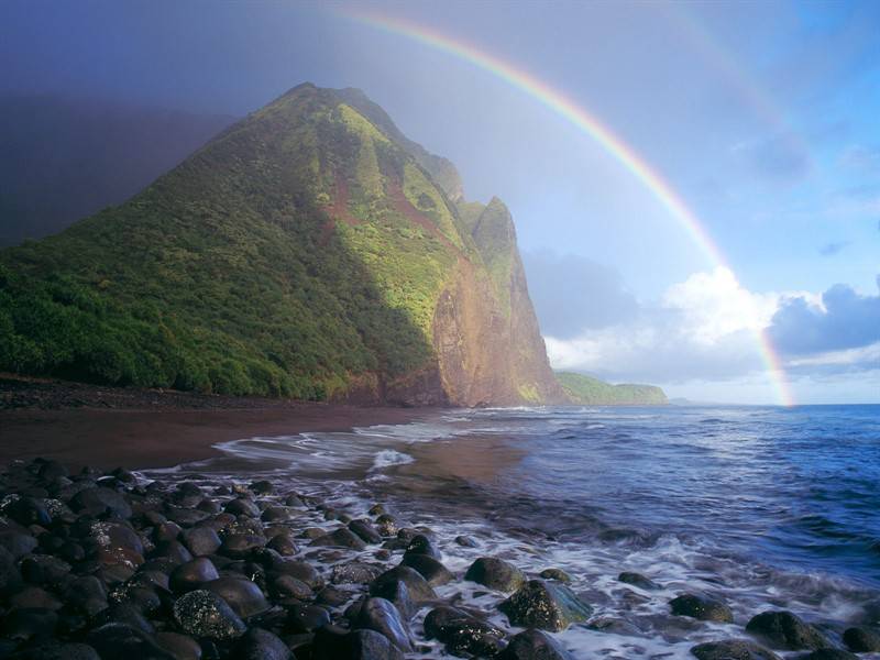 沙滩椰林夏威夷海滨唯美绿景