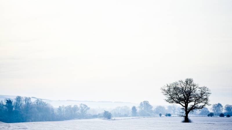 冬日雪景唯美纯白风景高清美图欣赏