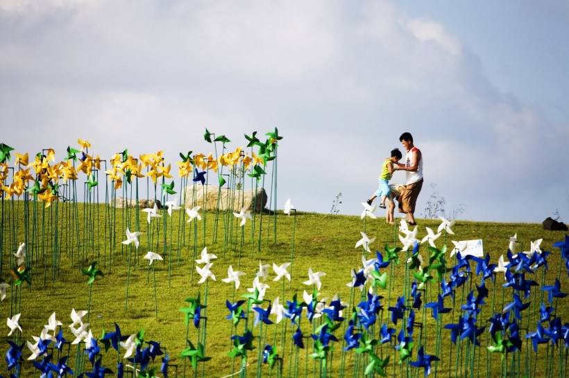 高清风车丛玩耍图片