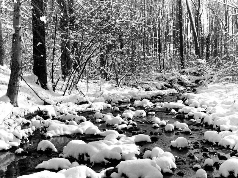 迷人的自然雪景精美壁纸欣赏