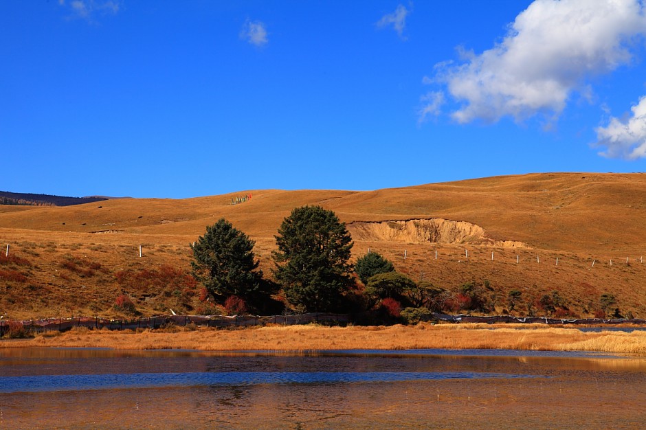 珠姆措—美丽的传说
