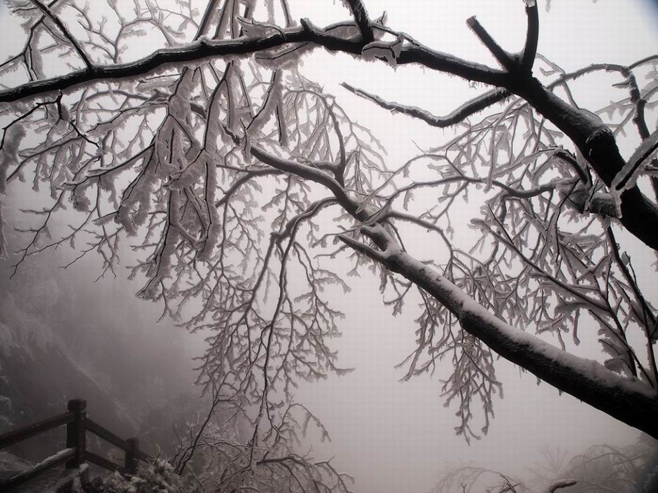 冬季雪盖黄山美景