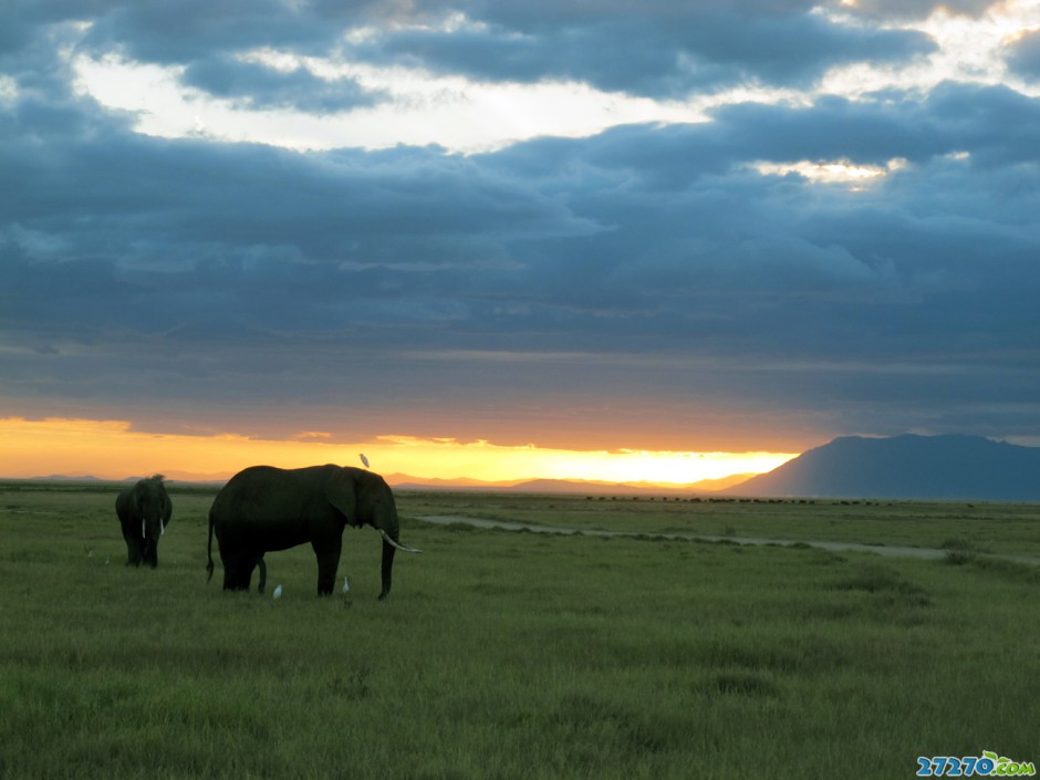 夕阳下：肯尼亚的美景