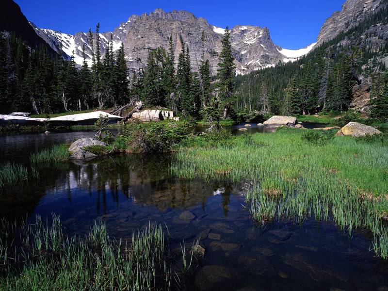 山清水秀大自然绿意盎然风景