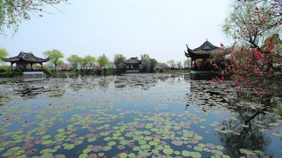江苏无锡蠡园的春天风景图片