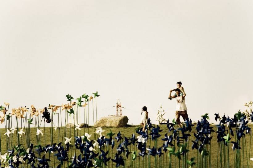 高清纸风车丛嬉戏图片