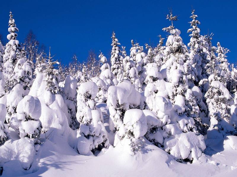 干燥的小屋雪景高清风景壁纸赏析