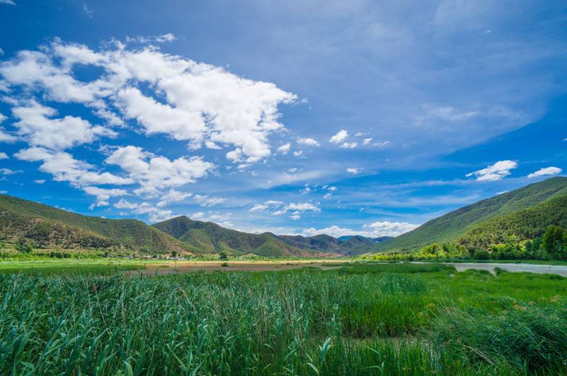 泸沽湖草海大自然风景图片大全