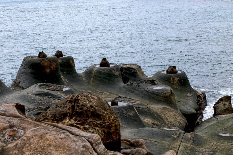 海滩石头风景图片高清壁纸下载