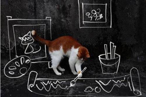 可爱宠物猫咪创意绘画美图