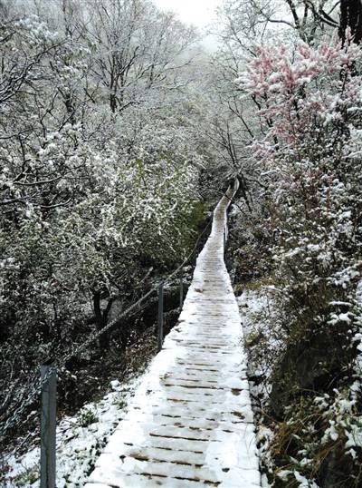 北京郊区飘雪 立夏后积雪达2至3厘米