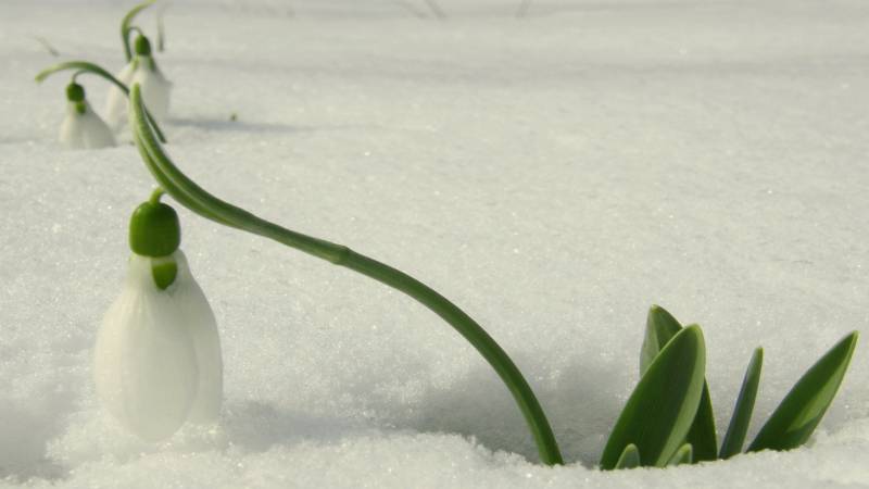 唯美雪景高清精美桌面风景壁纸