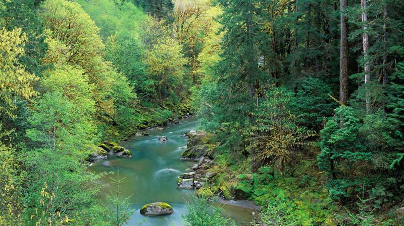 绿树葱葱风景高清组图