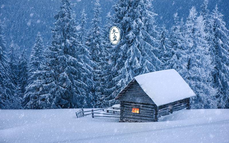冬日唯美森林纯白浪漫雪景壁纸