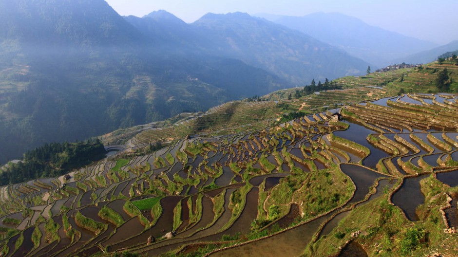 多彩的田园风光梯田美景