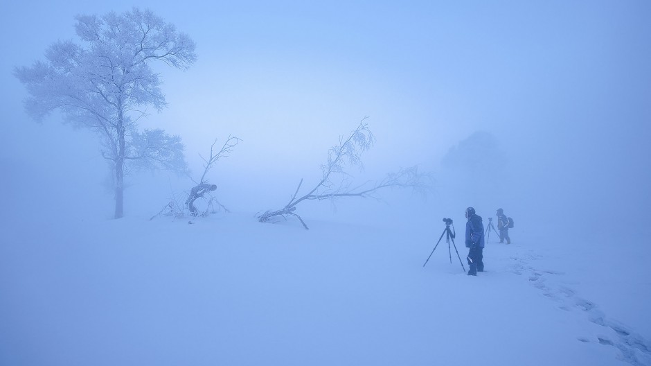 冬天森林白色雪景图片唯美洁净