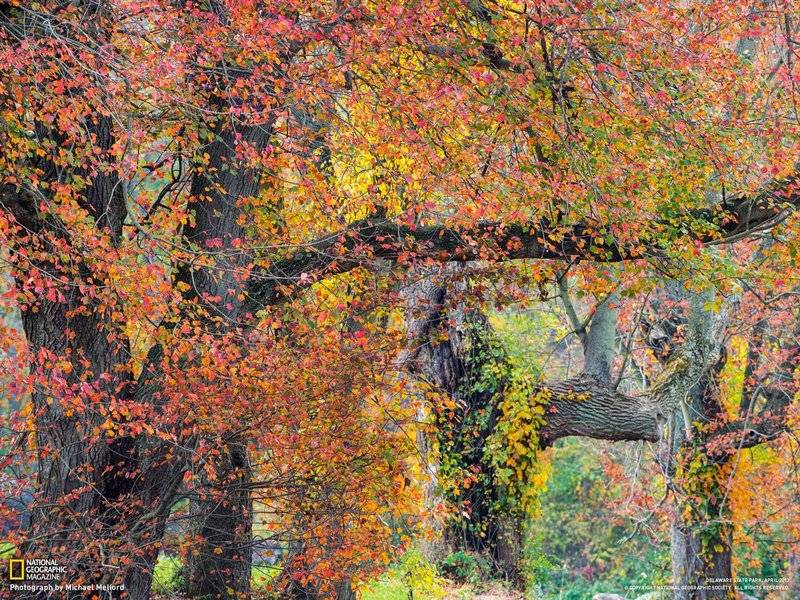 秋天风景壁纸图片精美迷人