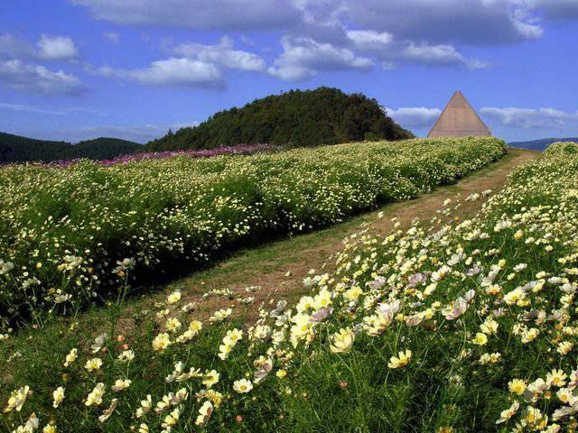 日本风光与花卉