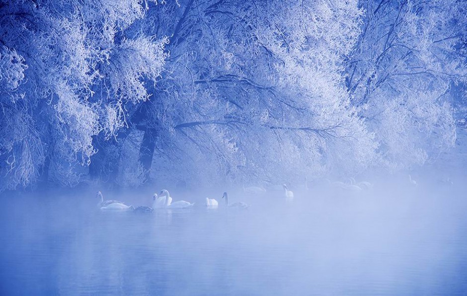 冬季伊宁天鹅泉美景