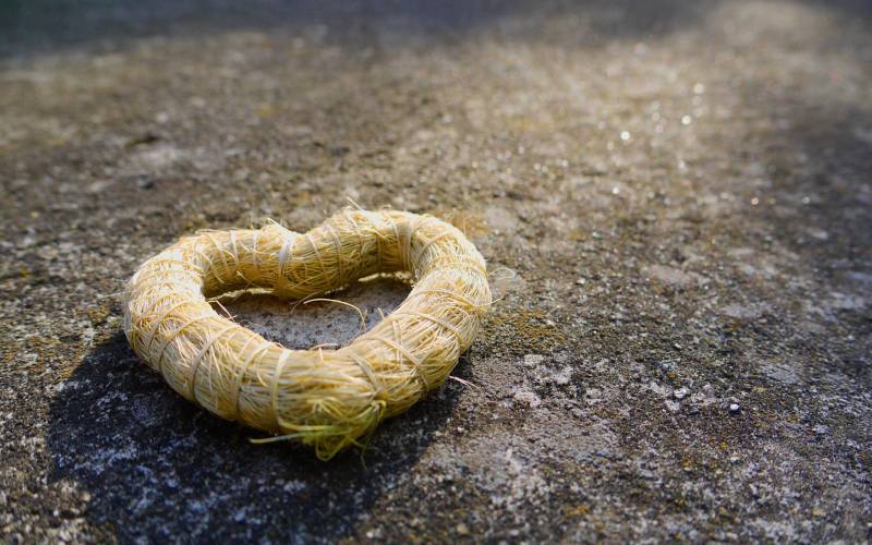 精选小清新类型植物动物特写壁纸