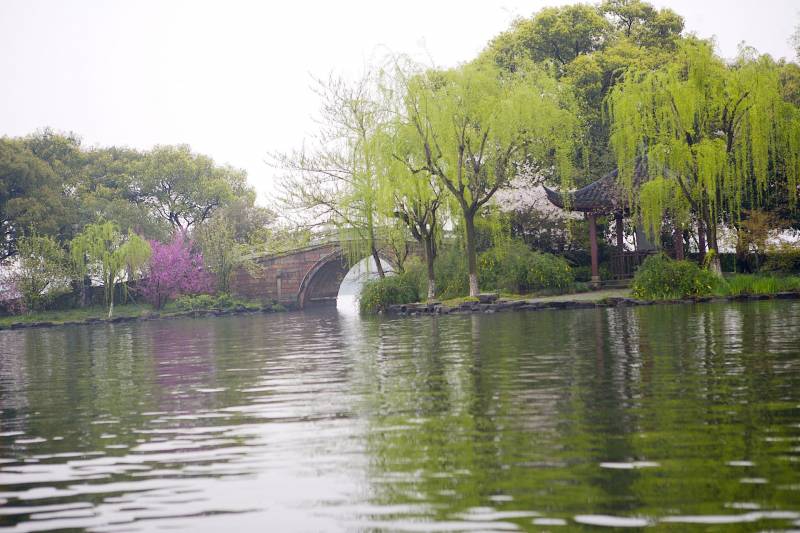 水乡之称苏州湖畔杨柳风景图片