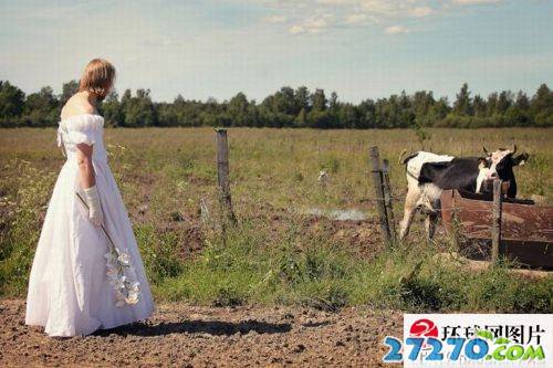 每日爆笑 婚纱照