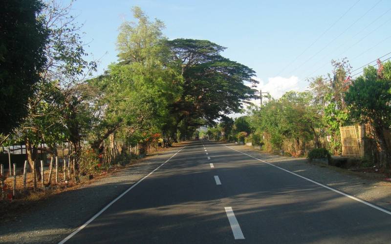 弯曲笔直的柏油公路唯美图片