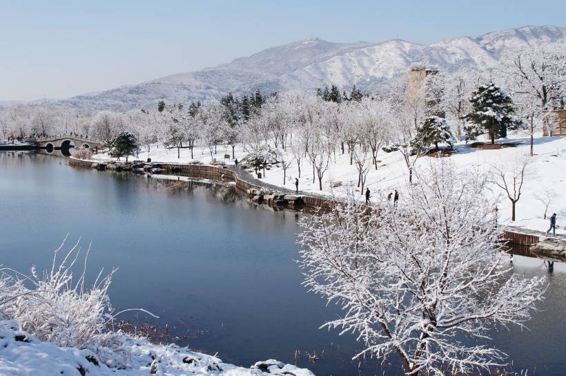 北京植物园雪景唯美摄影