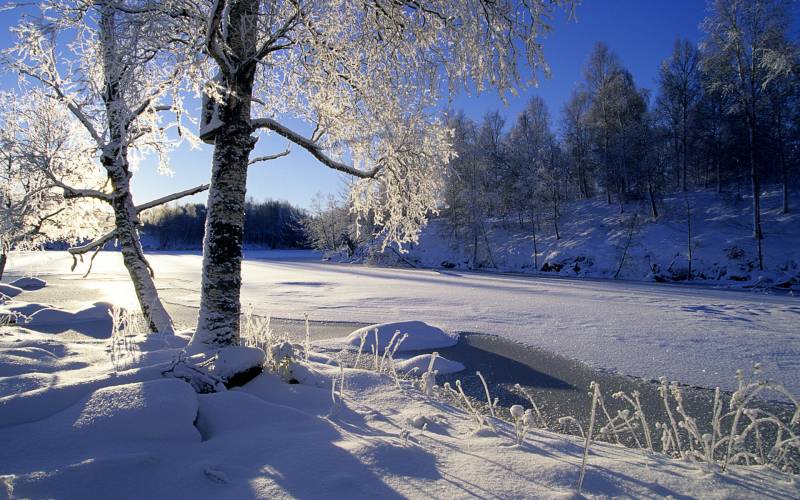 粉妆玉砌雪景高清壁纸