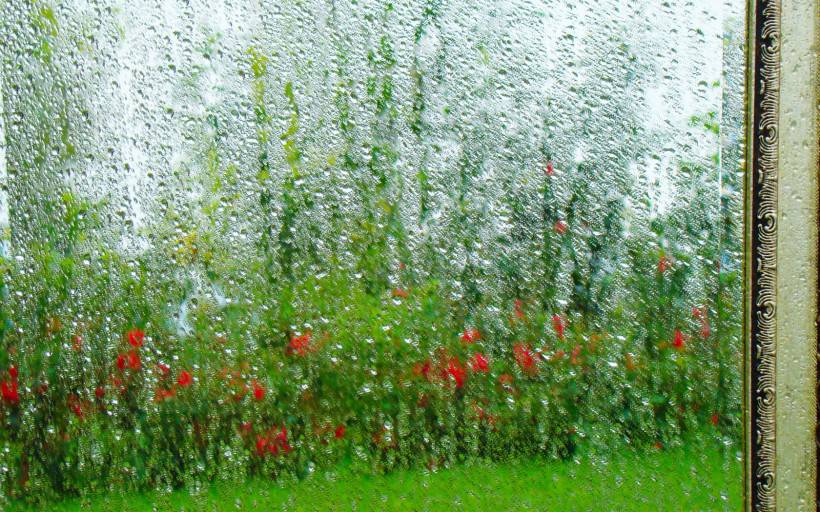 唯美的下雨高清风景图片壁纸