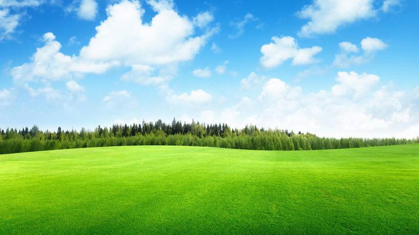 最美绿色草原风景图片壁纸