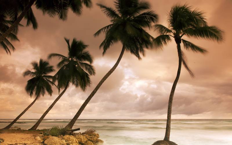加勒比海岸线风景壁纸欣赏