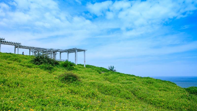 福建漳州滨海火山地质公园风景图片