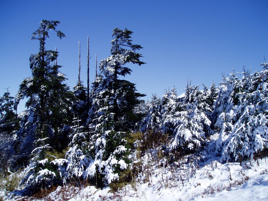 唯美迷人的峨眉山万佛顶雪景高清图片