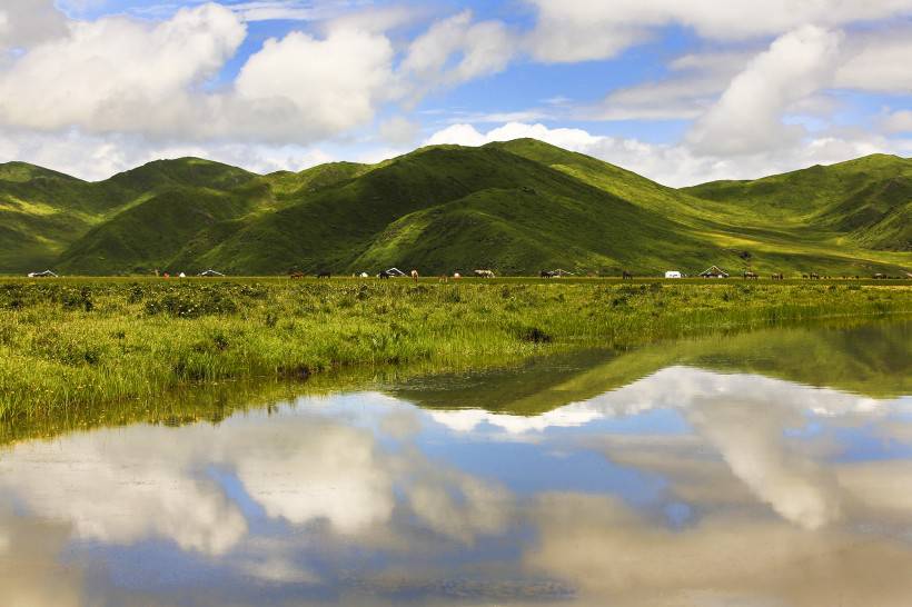 若尔盖草原美丽风景图片高清壁纸