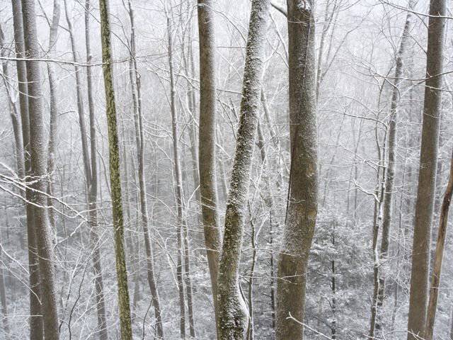 雪景风光