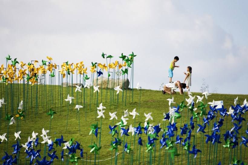 高清风车丛玩耍图片