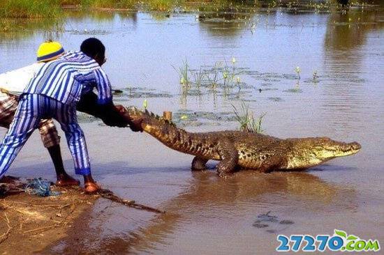 不怕死的家伙都是在玩命