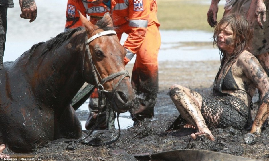 爱马深陷泥浆面临溺亡 主人陪伴安慰3小时