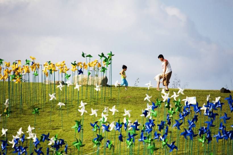 高清风车丛玩耍图片