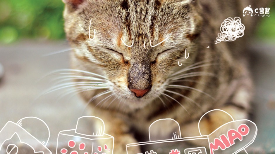 唯美猫咪漫画图片逗趣搞怪