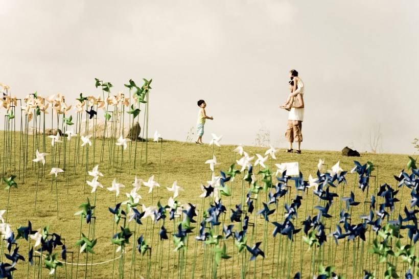 高清纸风车丛嬉戏图片